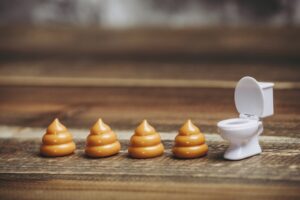 犬が食糞をするのはなぜなのか