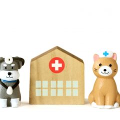 犬の避妊や去勢手術はメリット・デメリットを知ったうえで慎重に判断しよう！