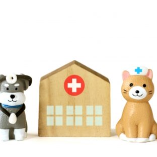犬の避妊や去勢手術はメリット・デメリットを知ったうえで慎重に判断しよう!