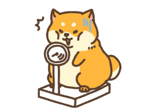 ダイエットを決意した犬