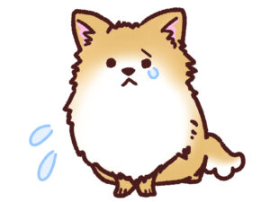 どうすればいいのか分からずに焦り泣きの犬