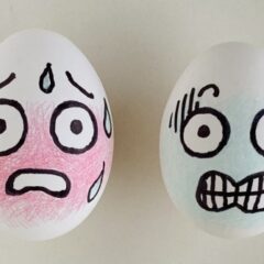 犬に最適な室内温度でストレスのない環境作り！-夏場冬場の冷暖房目安-