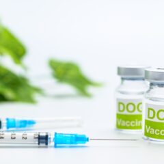 犬のかかりやすい病気ガイド～目～