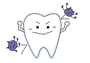 犬と人のデンタルケアの違い