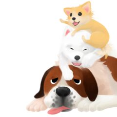 散歩は犬も人もいいこと尽くし！小型犬/中型犬/大型犬別の散歩目安