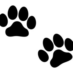 犬の10グループ！犬種による特徴や性質の違い