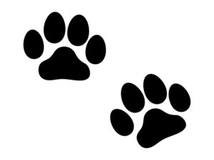 犬の肉球シルエット