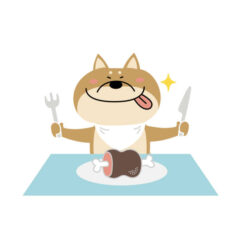 犬の食事回数と時間の基本-子犬期、成犬期、シニア期-