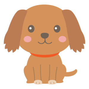 お願いとキラキラした様子で見つめている犬