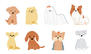 いろんな犬種の小型犬イラスト