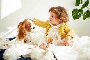 子どもと触れ合う優しいキャバリア