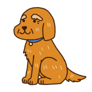 シニア犬に飼い主さんがしてあげれること