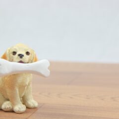 犬のかかりやすい病気ガイド～骨・関節～