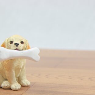 犬のかかりやすい病気ガイド~骨・関節~
