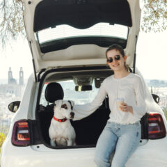 愛犬との旅行での守りたいマナー