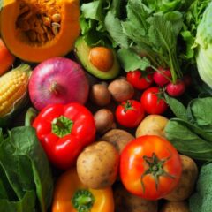 手作り犬ご飯！簡単！分かりやすい！1日に与える食事量計算方法と目安量の把握の仕方