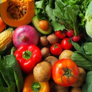 犬に必要な食事の5大栄養素