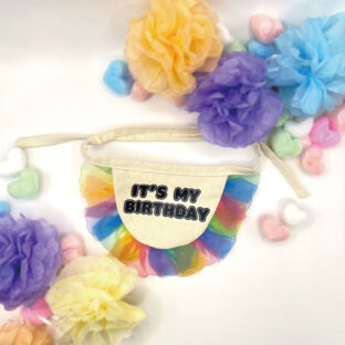 非公開: バースデースタイ