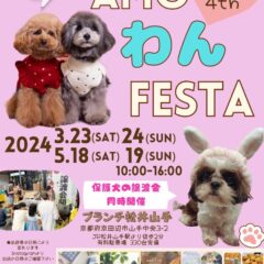 amo わんフェスタ