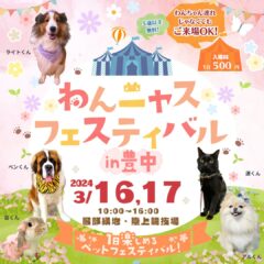 わんニャスフェスティバルin豊中