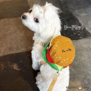 ハンバーガーリュックのハーネスとリードセット