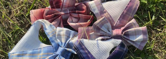 オシャレで可愛い”ビッグリボン”ハーネス