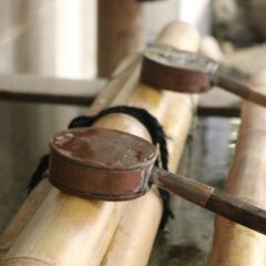 犬にもある？！厄年