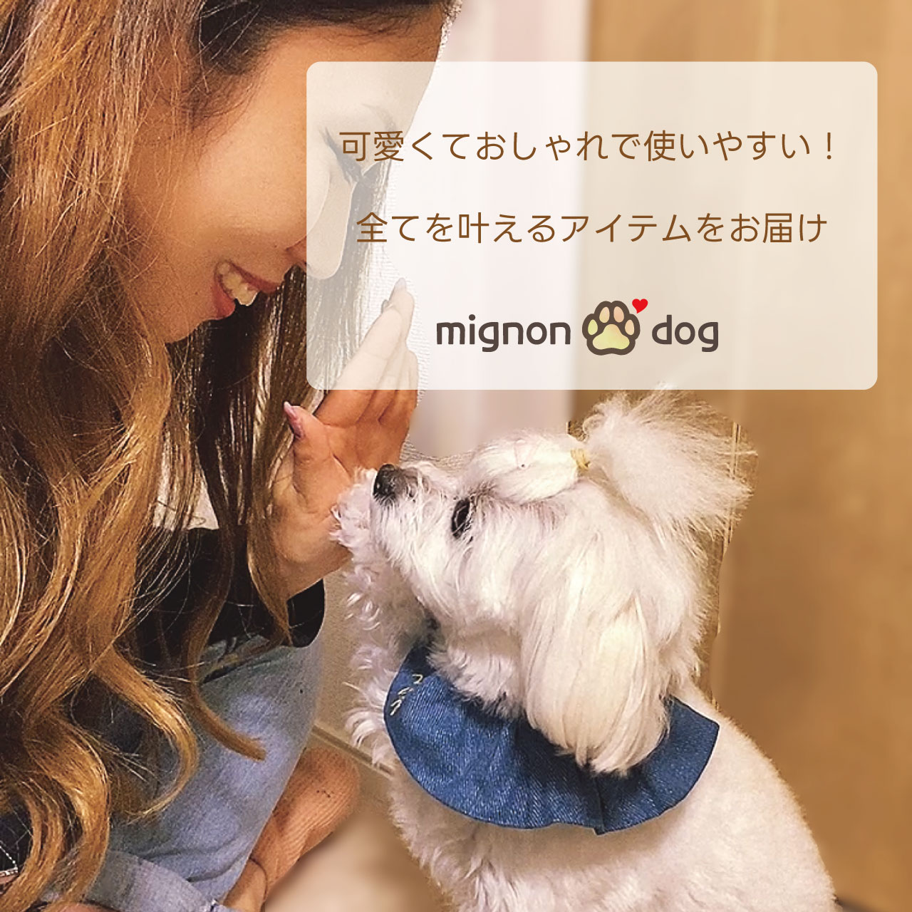 おしゃれでかわいいわんちゃんグッズ専門店 - 【 mignon ~ ミニョン ~ 】