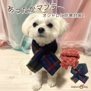おしゃれにかわいく防寒対策！犬用マフラー