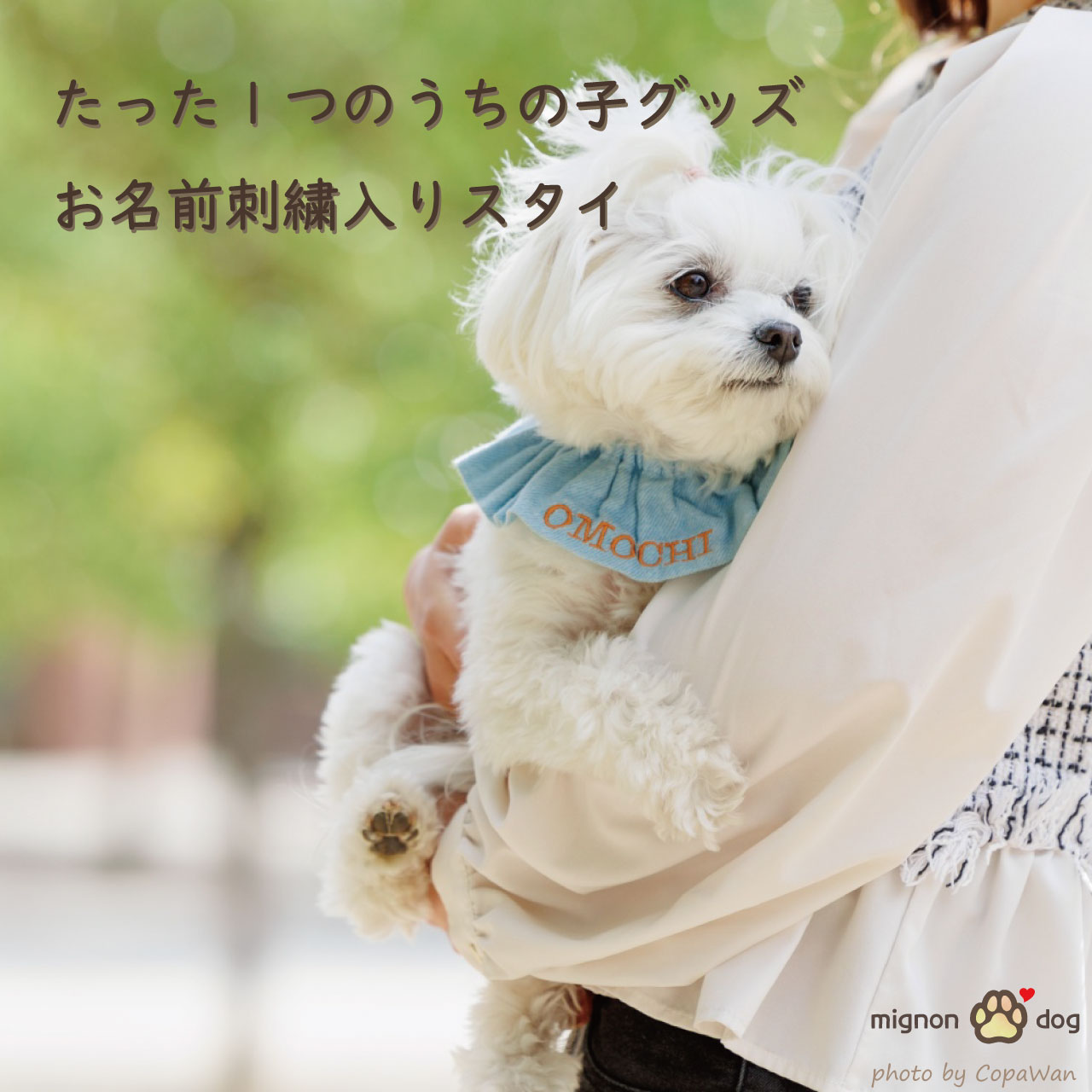 ミニョン MIGNON 動物型ぬいぐるみ 韓国BL ミニョン MIGNON 動物