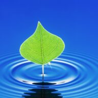 愛犬にとって必要な水分量と飲食事の便利アイテム